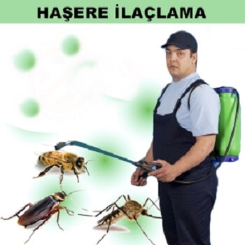 Doğançay Böcek İlaçlama